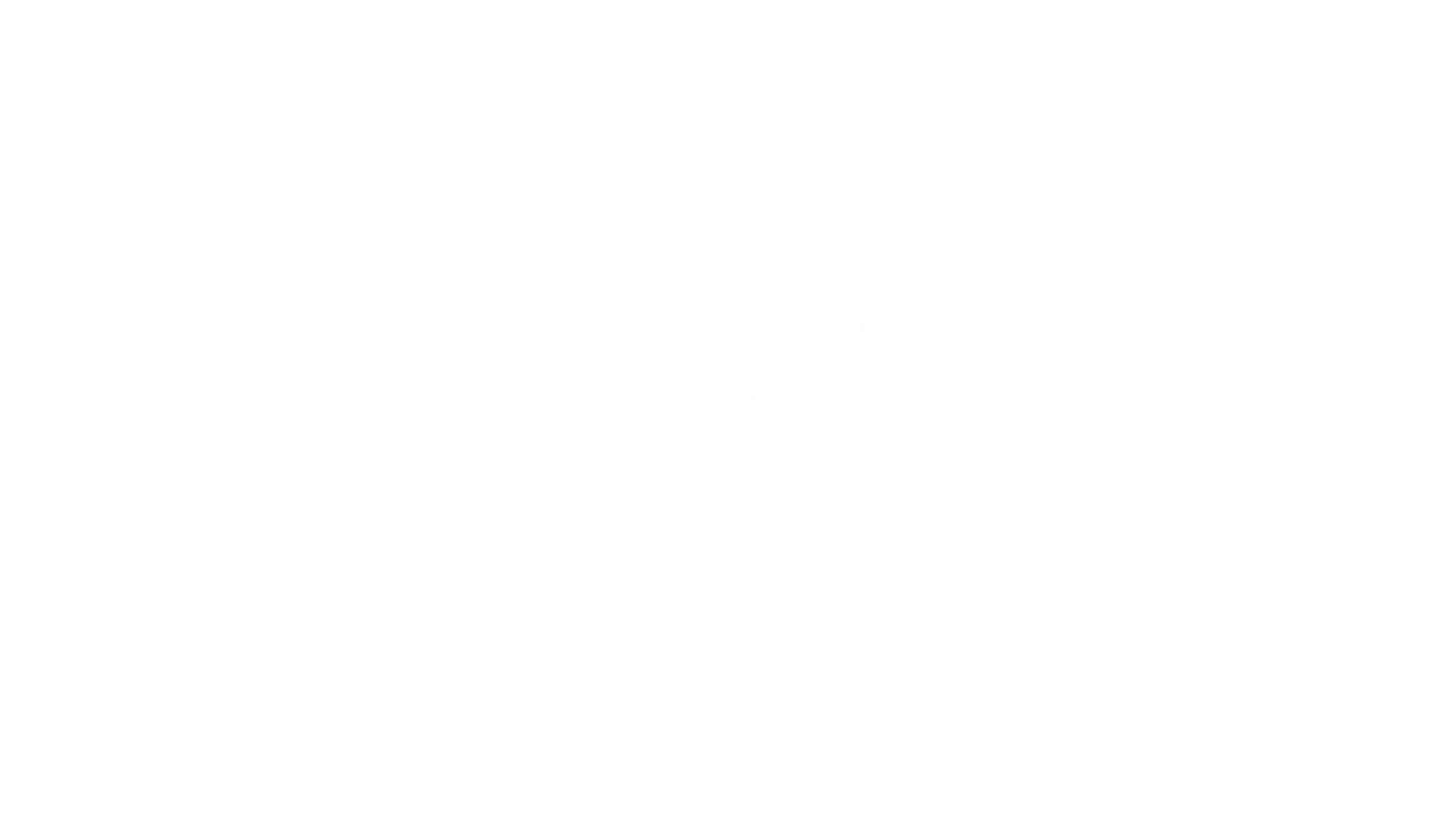 Bandoleros Company